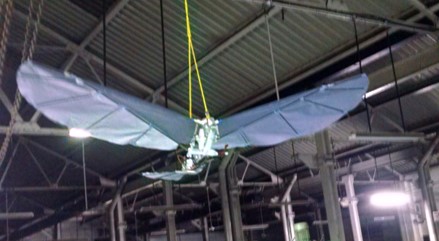 Design and Development and testing of an Ornithopter